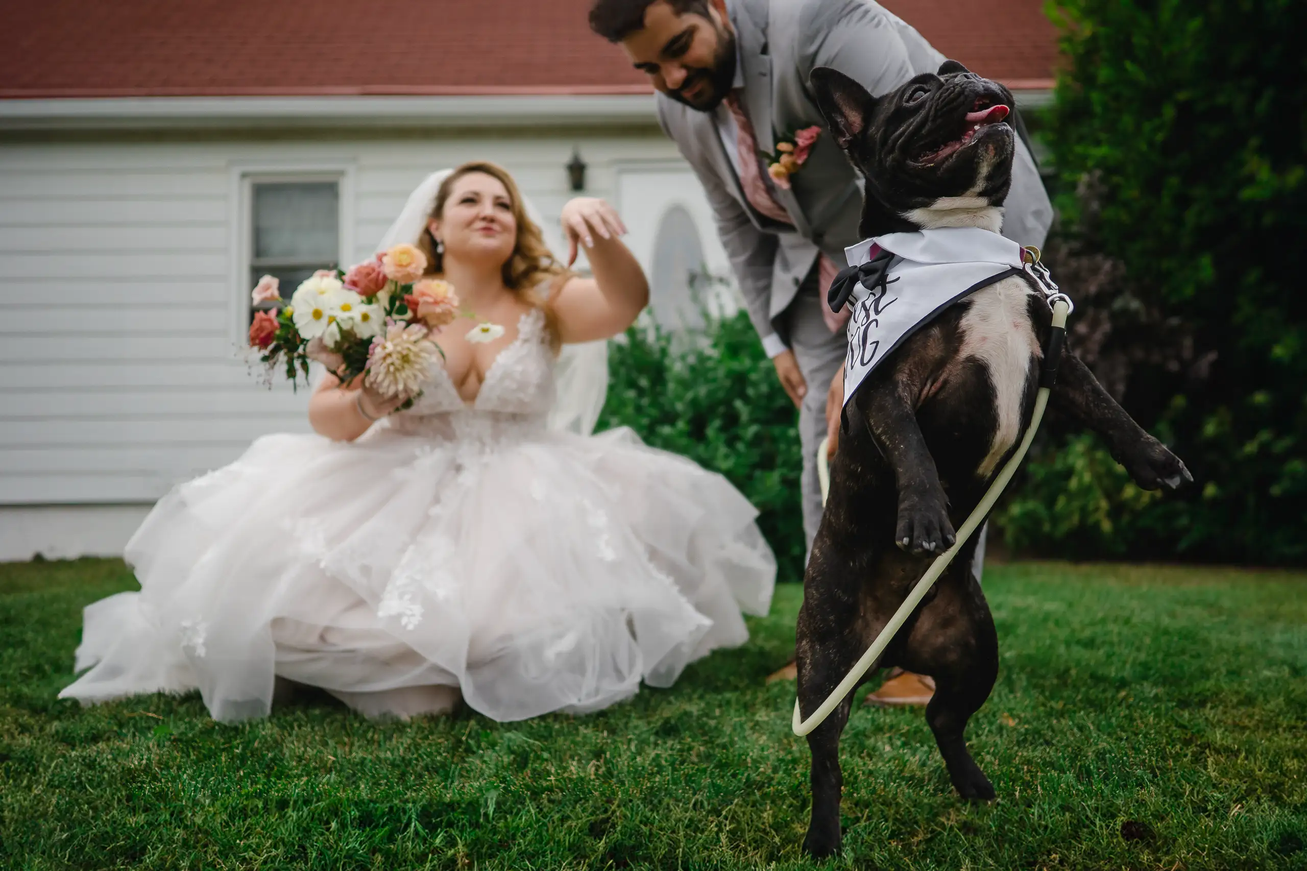 Kingston wedding photographer couple and dog